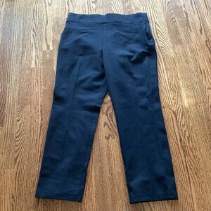 1X Spanx Cropped Wide Legged Ponte Pants Black